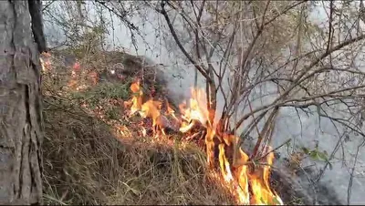 multiple forest fire incidents occur in reasi  rajouri  udhampur