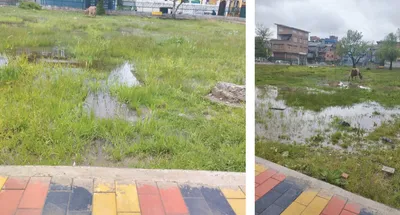 lack of maintenance renders batamaloo public park defunct