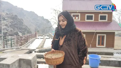 sadia   adil s trout farm success amid stunning kashmir mountains