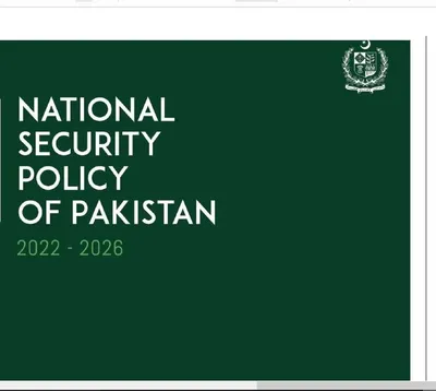 pakistan missed a grand opportunity in its nsp
