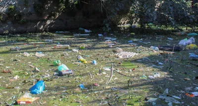 sc expresses concern over dumping of plastic waste in riverbanks  water bodies