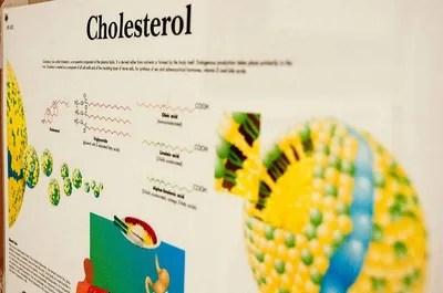 lifestyle measures key to boost good cholesterol levels  expert