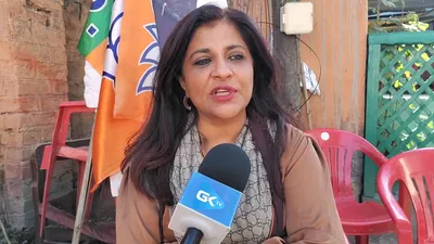 shazia ilmi criticises nc  pdp  congress