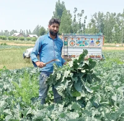 pulwama s bangund banishes chemicals  embraces nature s bounty